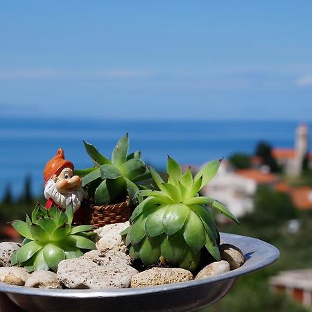Apartments Mateljak Gradac  Eksteriør bilde