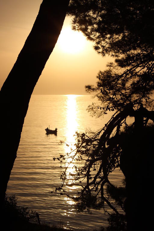 Apartments Mateljak Gradac  Eksteriør bilde